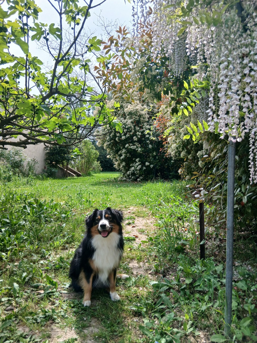 Moment de détente dans notre jardin fleuri